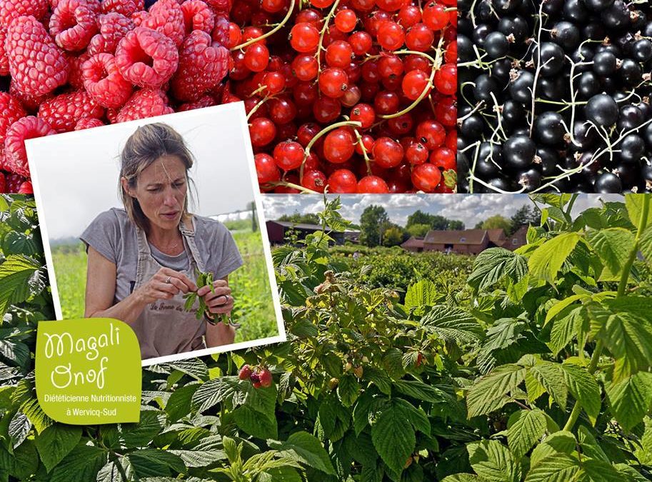 La fête de la fraise à Roncq